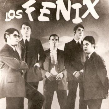 ELS FÈNIX en concert