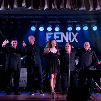 ELS FÈNIX en concert