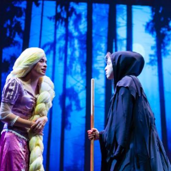 Into the Woods - Teatro Musical