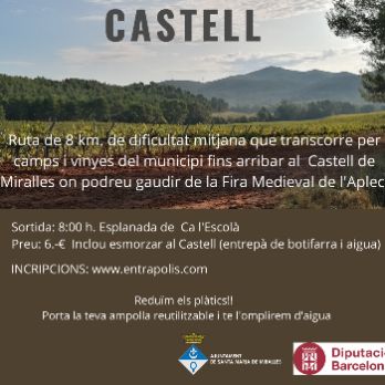 CAMINADA DE L'APLEC DEL CASTELL
