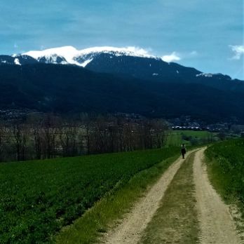 CHW 2022 - Marxa nòrdica pels camins del Pla d’Alp