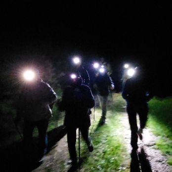 CHW 2022 - Nocturna pels boscos del Puigpedrós