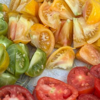 MOSTRA GASTRONÒMICA  PRIORAT ENOTURISME Jornades gastronòmiques de la tomaca i l'horta del Priorat