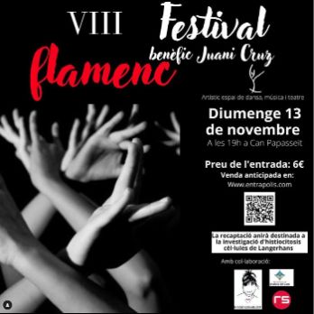 VIII Festival benèfic Juani Cruz Flamenc