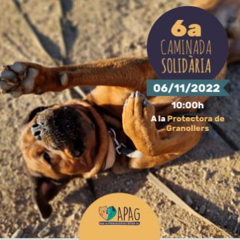 6a Caminada Solidària Canina Protectora Granollers