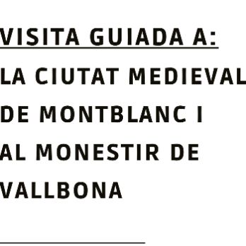 Sortida a Montblanc i Vallbona de les Monges