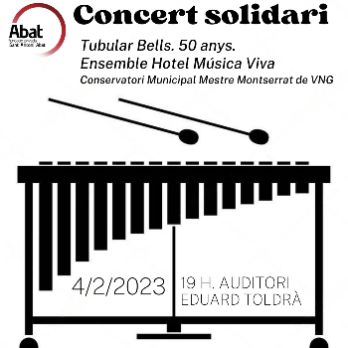 Concert Solidari. Ensemble Hotel Música Viva.