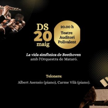 Festival de Música Clàssica de Bigues i Riells del Fai - Orquestra de Mataró
