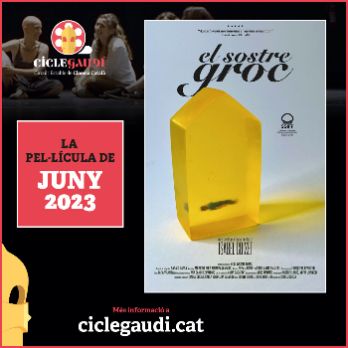 Cinema:  EL SOSTRE GROC