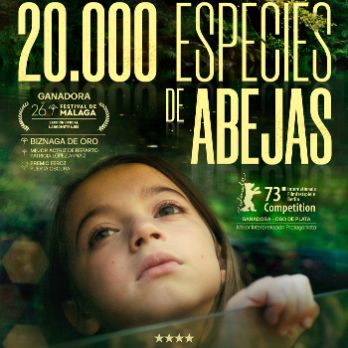 Cinema. 20.000 ESPECIES DE ABEJAS