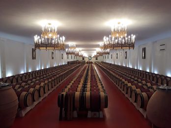 The Best of Bordeaux