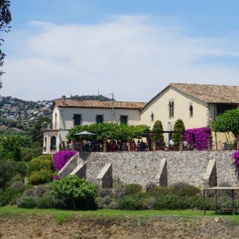 Tast de vins, ruta per les vinyes i visita guiada al celler Bouquet d’Alella.