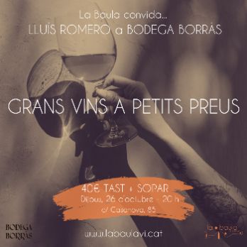 TAST AMB LLUÍS ROMERO: Grans vins a petits preus