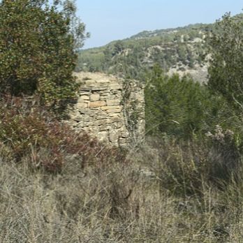 Pedra i natura a Sant Pere de Vallhonesta