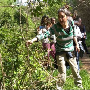 Passejada botànica. Usos i virtuts de les plantes.