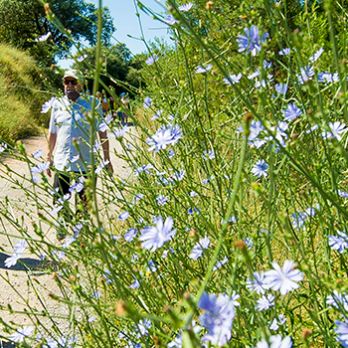 Passejada botànica. Usos i virtuts de les plantes.