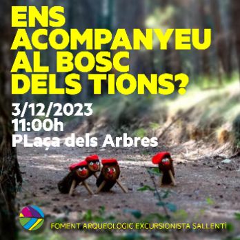 BOSC DELS TIONS DE SALLENT