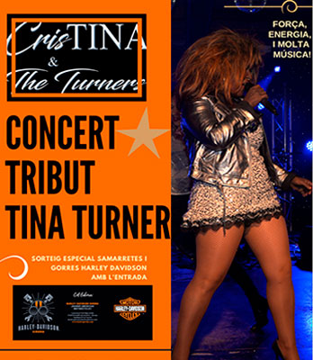 Tribut a Tina Turner
