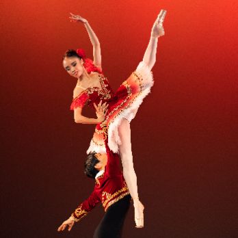 Gran Gala de Dansa - Ballet de Barcelona (TORTOSA)