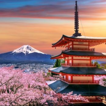 Com viure al Japó - Sakura Fest 2024