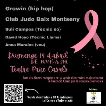 Concert Benèfic per a la lluita contra el càncer de mama - Fila 0