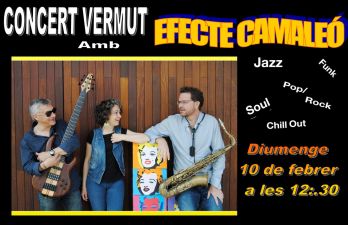 Concert Vermut amb EFECTE CAMALEÓ