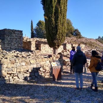 Visita guiada al jaciment arqueològic del poblat ibèric del Cogulló de Sallent