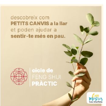 Cicle pràctic de Feng Shui amb Arena Tarrés