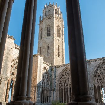 VISITA GUIADA SEU VELLA-CASTELLANO