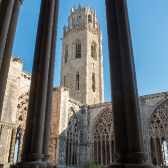 VISITA GUIADA SEU VELLA-CATALÀ