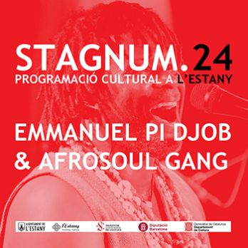 STAGNUM: EMMANUEL PI DJOB & AFRO SOUL GANG