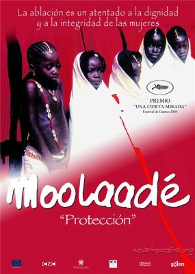 Cicle Cinema Cultures: Moolaade (Protecció)