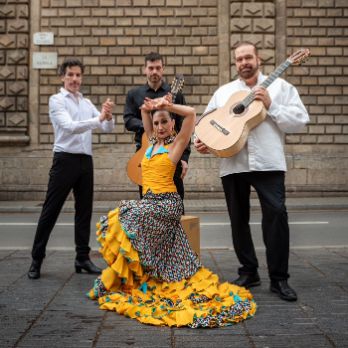 CONCERT SOLIDARI - HOMENATGE A PACO DE LUCÍA