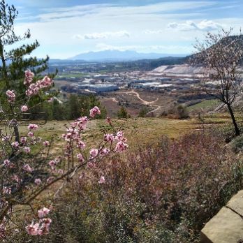 Visita guiada al Castell de Sant Esteve i Sebastià i l'església romànica de Sallent