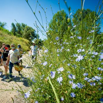 GEOPARC: Passejada botànica. Usos i virtuts de les plantes.