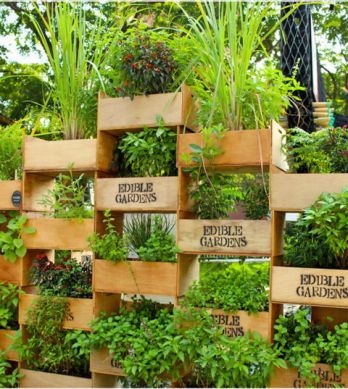 Activitats en família: Jardineria sostenible i jardins verticals