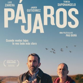 Pájaros