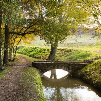 GEOPARC: Itinerari pel bosc de la Sala