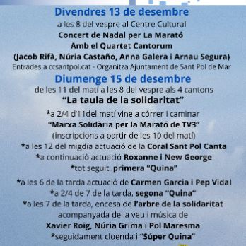 CONCERT DE NADAL PER LA MARATÓ amb el  Quartet Cantorum