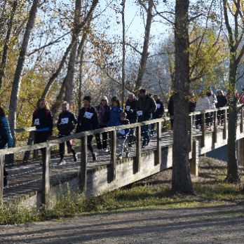 l'IMO Camina per la marató