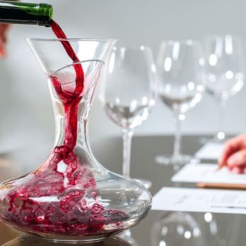 Taller Iniciació al tast de Vins: 1ª Part: els vins secs de Catalunya