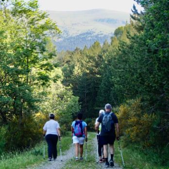 RIPOLLÈS DISCOVERY WALKING 2020 - De marxa nòrdica pels boscos de Campelles