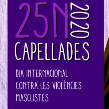 Concert 25N Anna Andreu - Capellades