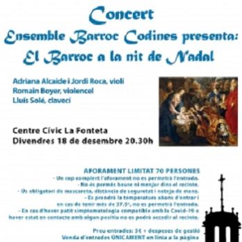 Concert de  Música Clàssica " El Barroc a la nit de Nadal"
