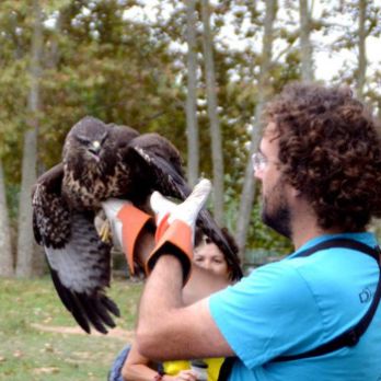 Escola de Natura: Taller de Caixes nius i passejada d'introducció a la ornitologia