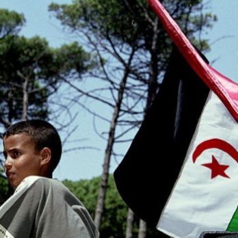 Presentació del documental FUSELLS O PINTADES, la lluita no violenta del poble sahrauí
